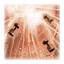 Fragmentation Bomb